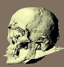 Компьютерное представление томографических данных черепа N4